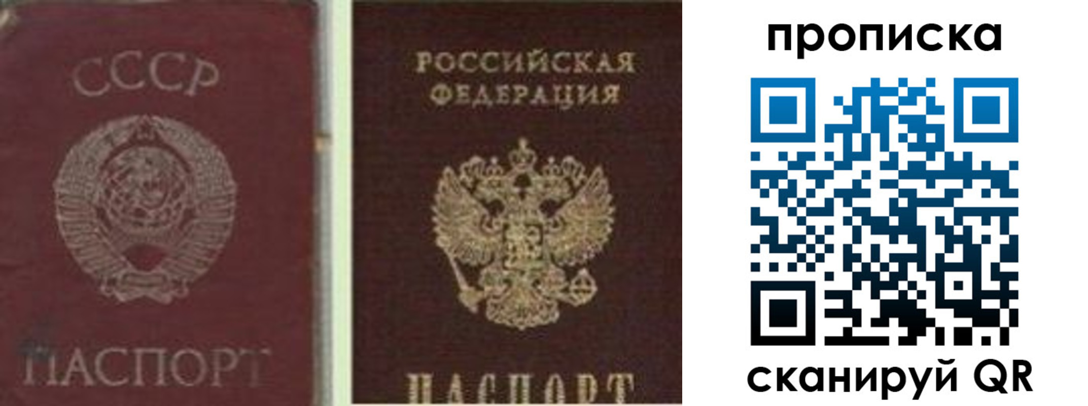 прописка штамп в Мытищах